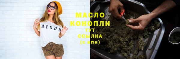 ешки Медногорск