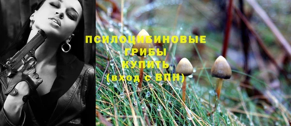 ешки Медногорск