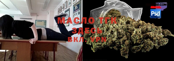 ешки Медногорск