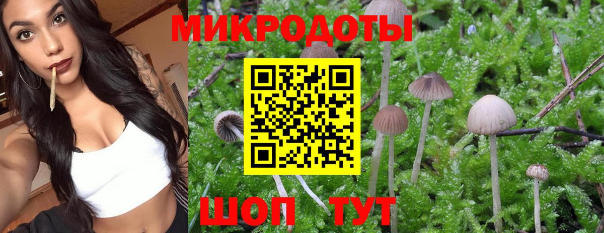 Псилоцибиновые грибы MAGIC MUSHROOMS  Прокопьевск  Галлюциногенные грибы GOLDEN TEACHER 