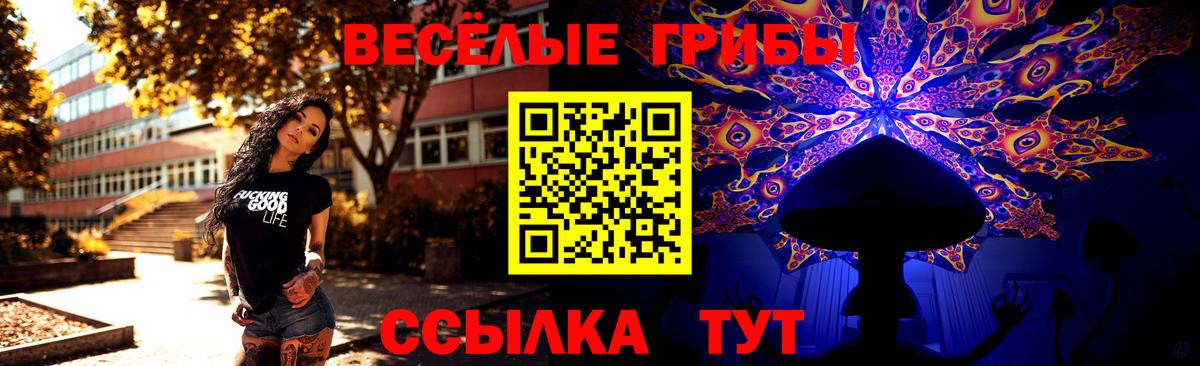 Псилоцибиновые грибы Psilocybine cubensis Прокопьевск