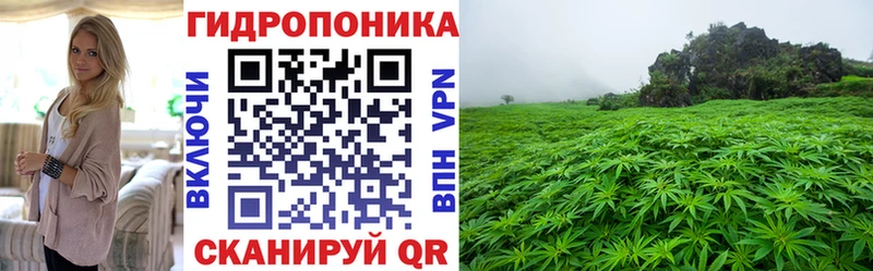 Шишки марихуана VHQ  как найти закладки  Прокопьевск 